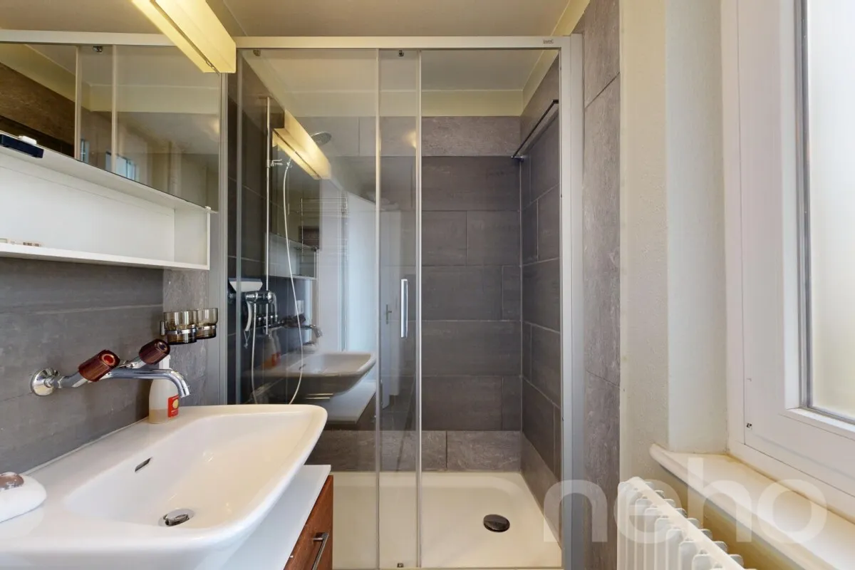 Balsthal for sale Twin house Switzerland - cChic-immoHub your real estate portal