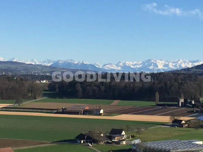 Zu verkaufen Schafisheim Einfamilienhaus Suisse - cChic-immoHub Ihr Immobilienportal