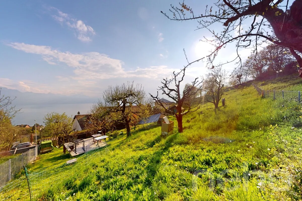 Grandvaux à vendre Terrain à bâtir Suisse - cChic-immoHub votre portail immobilier