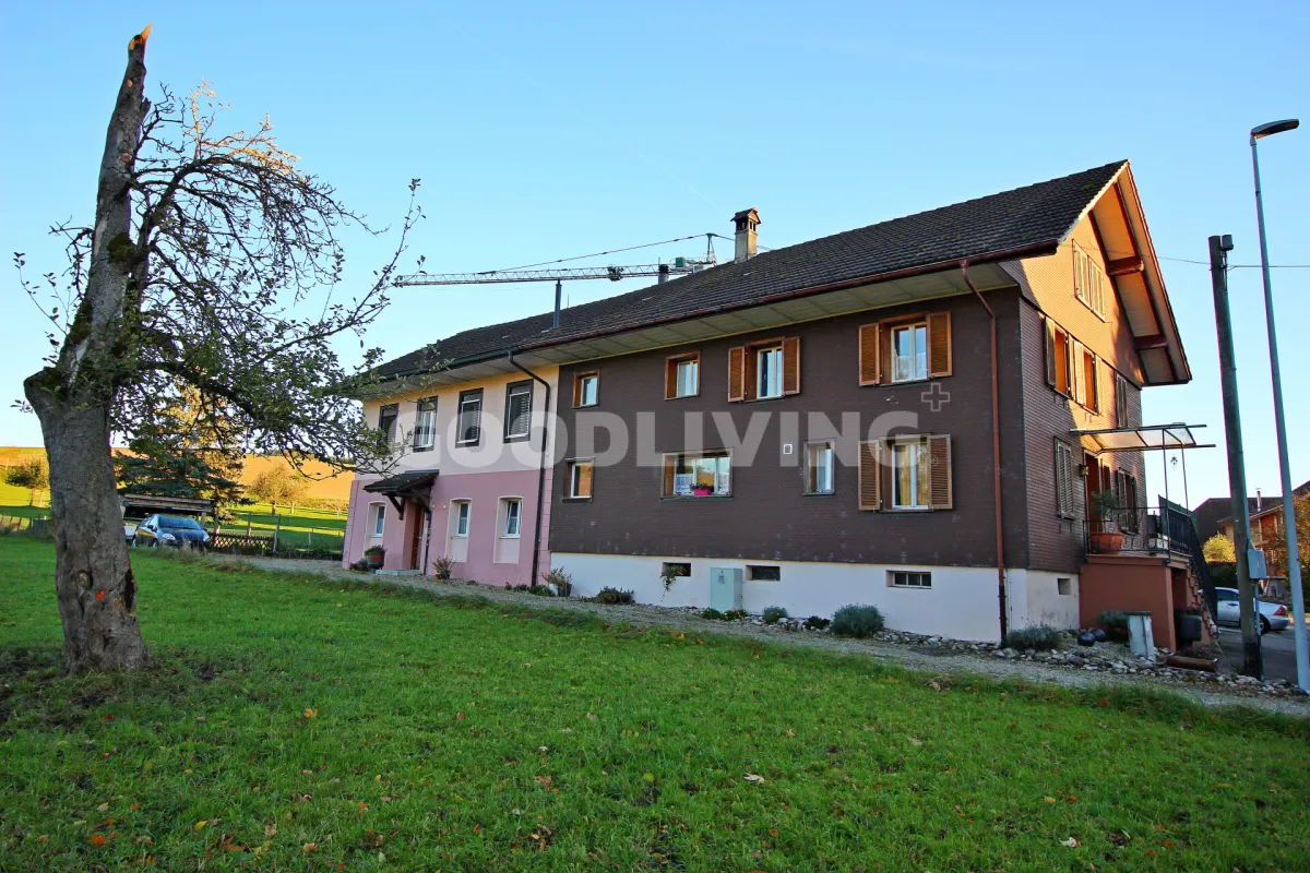 Grosswangen zu verkaufen Zwillingshaus Schweiz - cChic-immoHub Ihr Immobilienportal