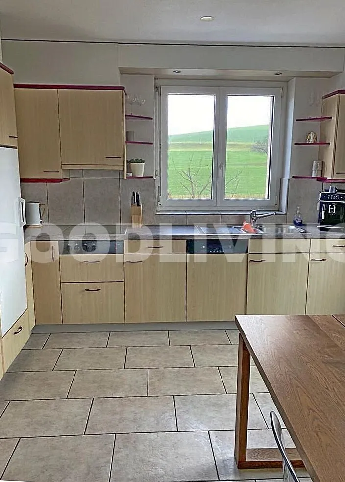 Grosswangen zu verkaufen Zwillingshaus Schweiz - cChic-immoHub Ihr Immobilienportal