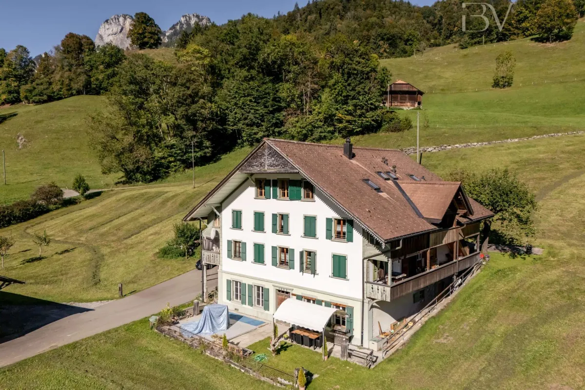 Boltigen zu verkaufen Mehrfamilienhaus Schweiz - cChic-immoHub Ihr Immobilienportal