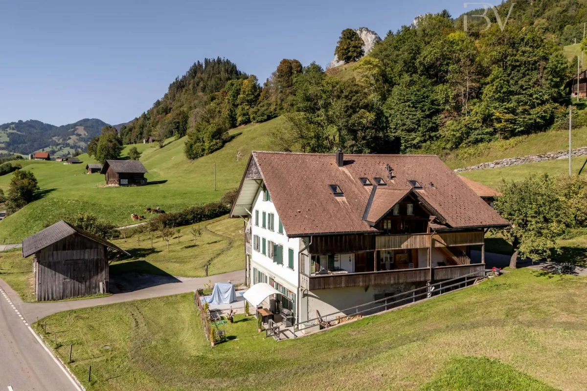 Boltigen zu verkaufen Mehrfamilienhaus Schweiz - cChic-immoHub Ihr Immobilienportal