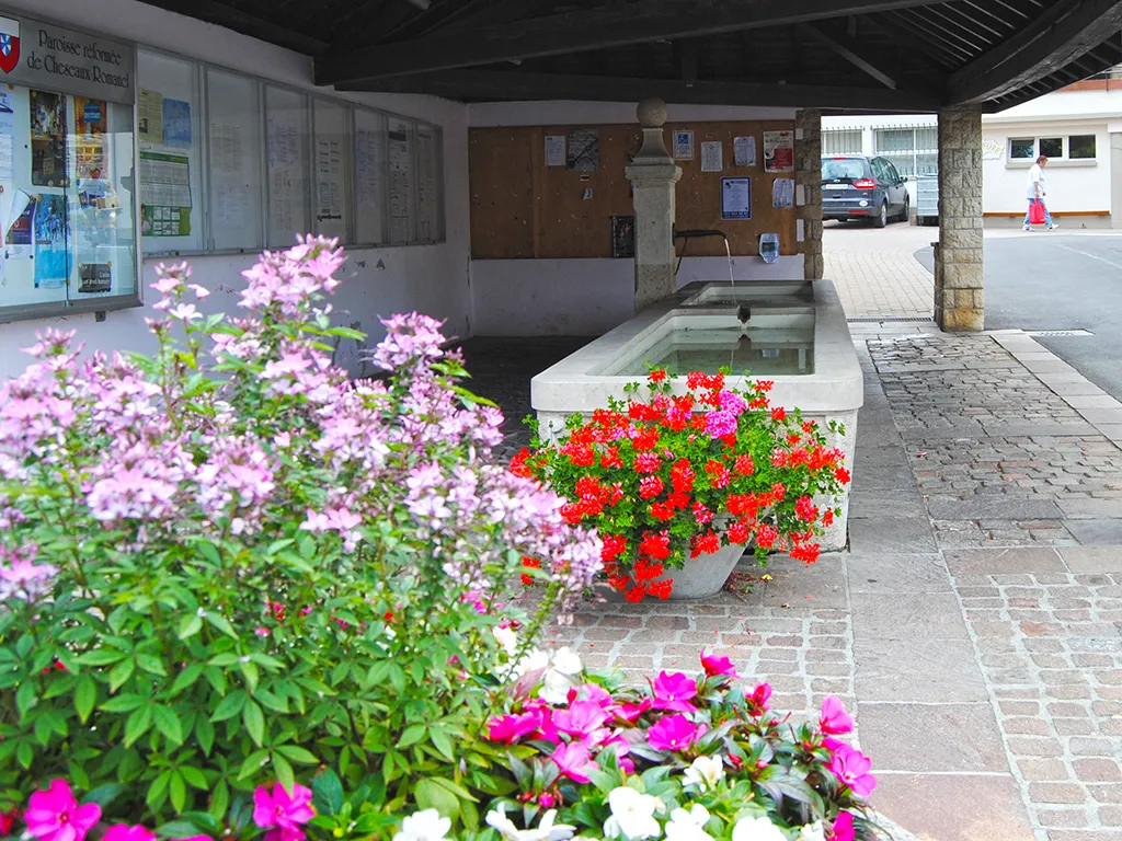 Lausanne zu verkaufen Angebautes Haus Schweiz - cChic-immoHub Ihr Immobilienportal