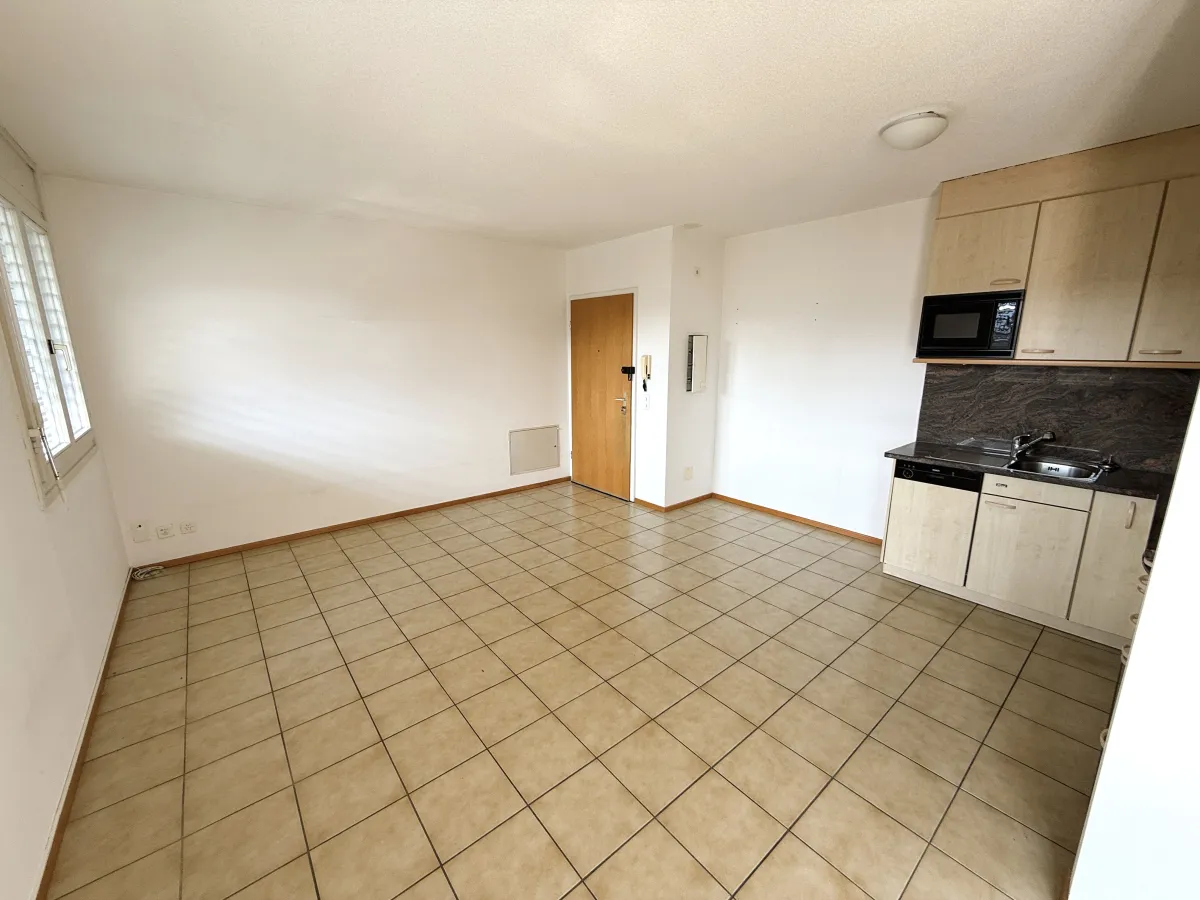 Caslano zu verkaufen Wohnung Schweiz - cChic-immoHub Ihr Immobilienportal