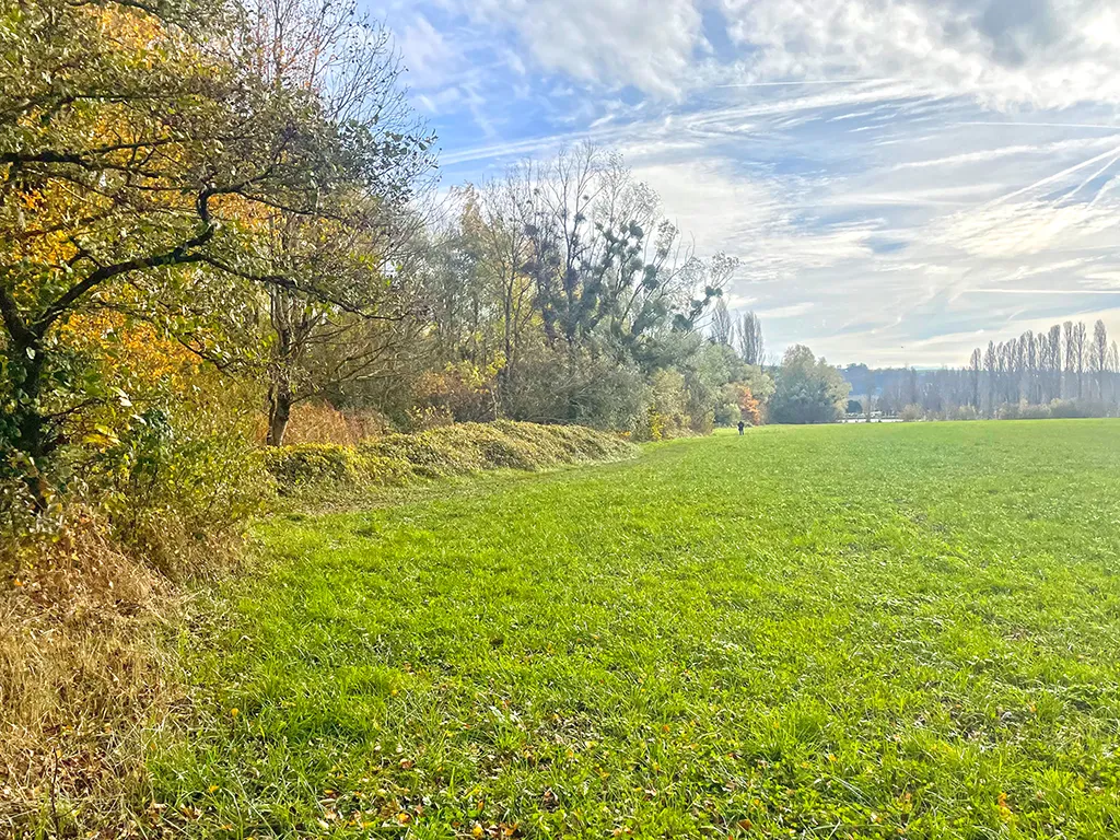 Yverdon-les-Bains zu verkaufen Duplex Schweiz - cChic-immoHub Ihr Immobilienportal