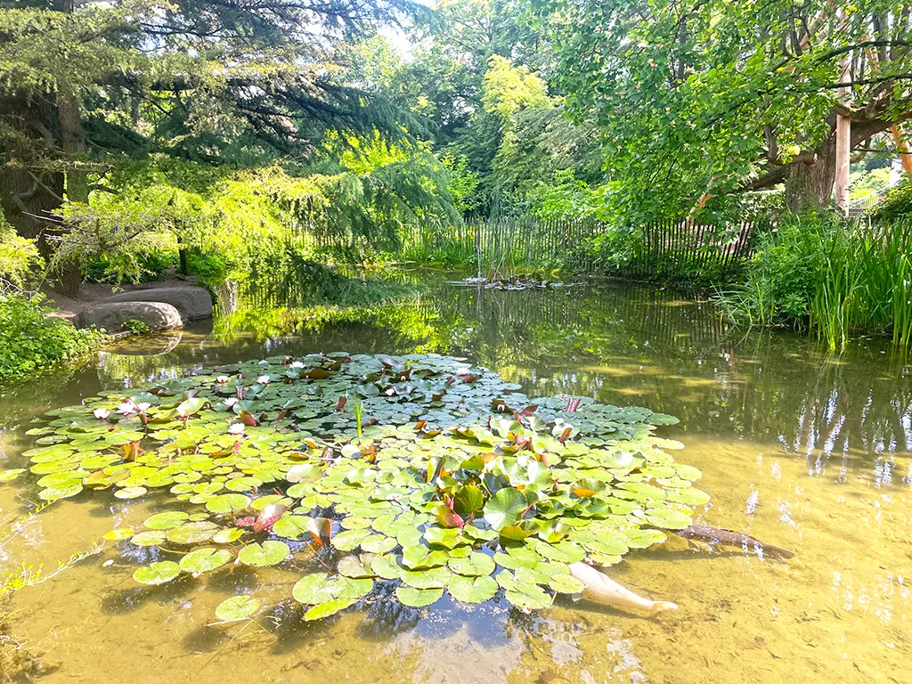 Yverdon-les-Bains zu verkaufen Duplex Schweiz - cChic-immoHub Ihr Immobilienportal