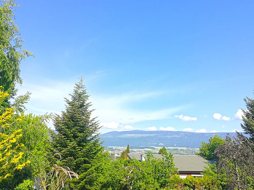 Yverdon-les-Bains zu verkaufen Duplex Schweiz - cChic-immoHub Ihr Immobilienportal