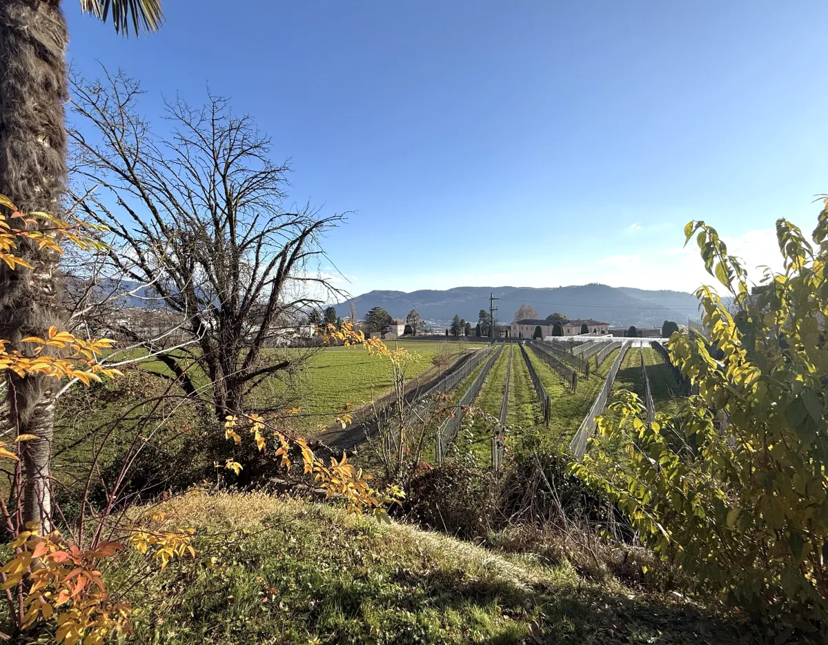 Coldrerio In vendita Villa Svizzera - 
cChic-immoHub Il vostro portale immobiliare