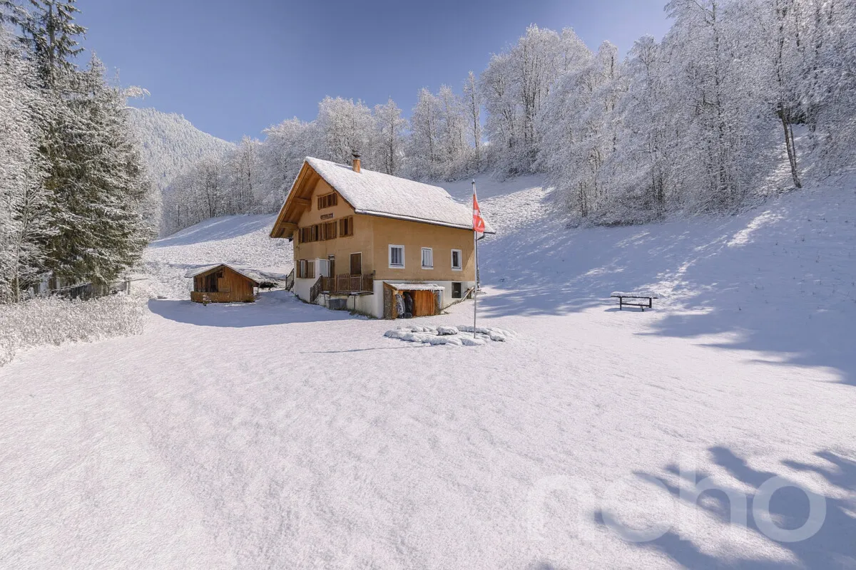 Château-d'Oex zu verkaufen Einfamilienhaus Schweiz - cChic-immoHub Ihr Immobilienportal
