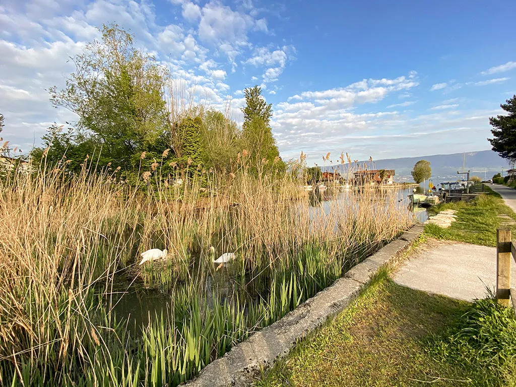 Estavayer-le-Lac à vendre Immeuble Suisse - cChic-immoHub votre portail immobilier