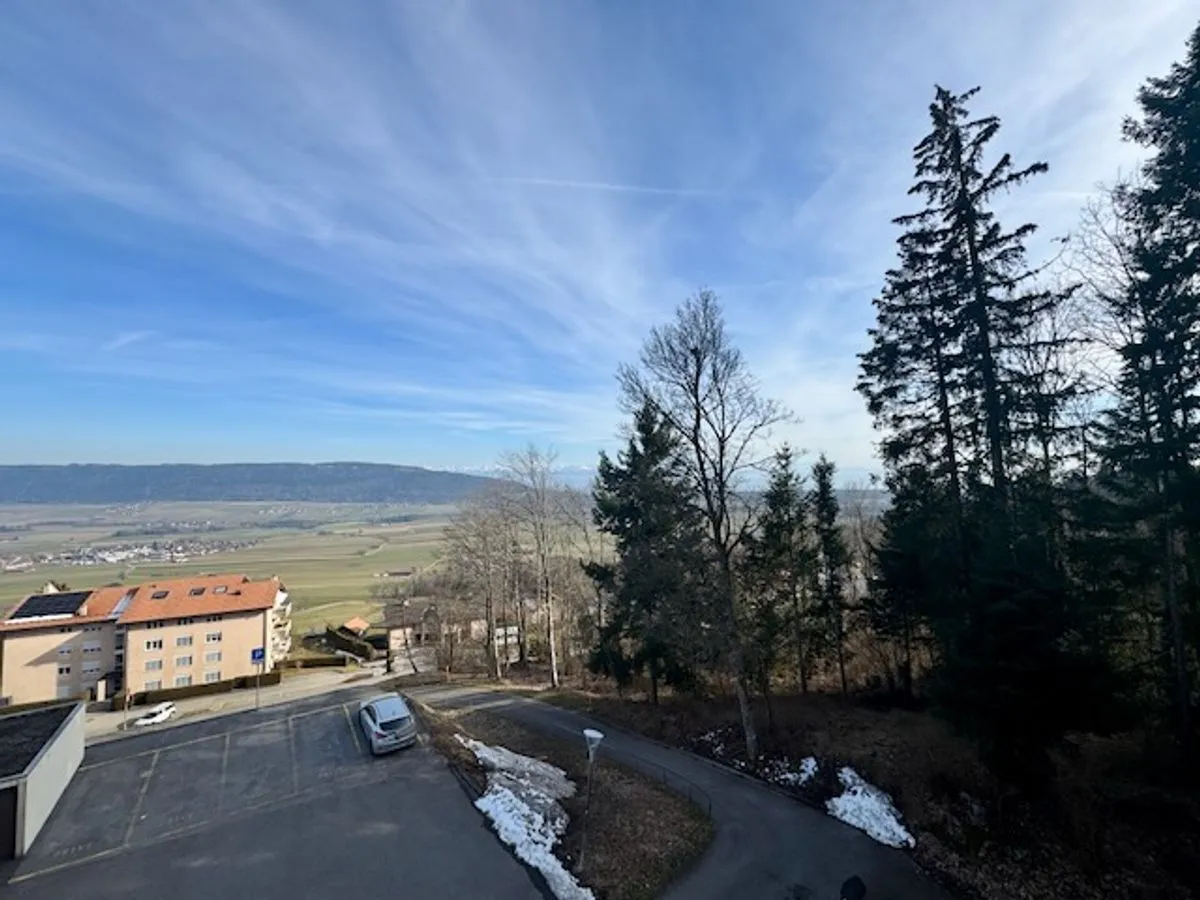 Les Hauts-Geneveys zu verkaufen Wohnung Schweiz - cChic-immoHub Ihr Immobilienportal