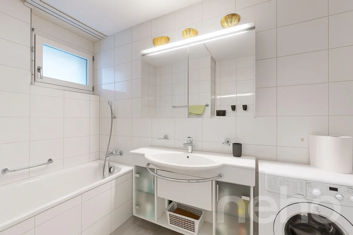 Schlieren zu verkaufen Attikawohnung Schweiz - cChic-immoHub Ihr Immobilienportal