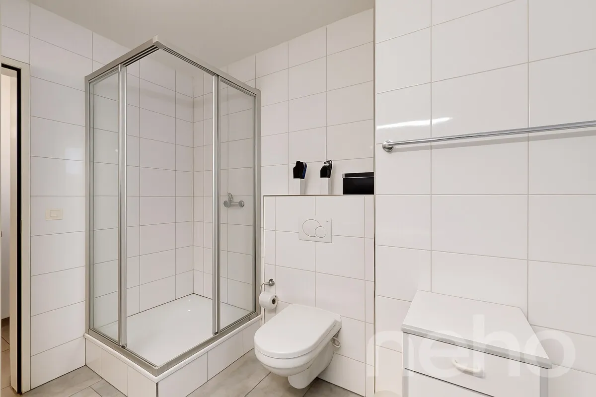 Schlieren zu verkaufen Attikawohnung Schweiz - cChic-immoHub Ihr Immobilienportal