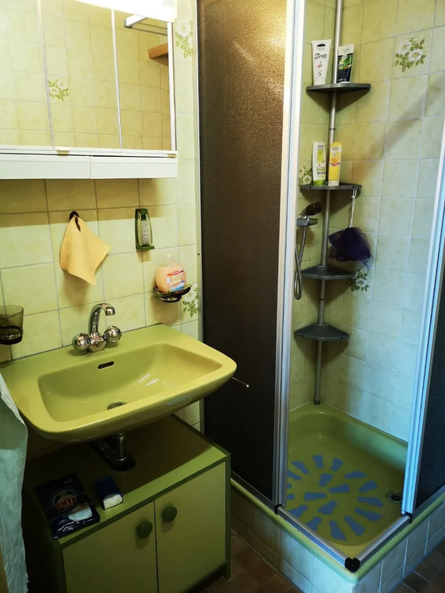 Beatenberg zu verkaufen Möbliertes Wohnobjekt Schweiz - cChic-immoHub Ihr Immobilienportal