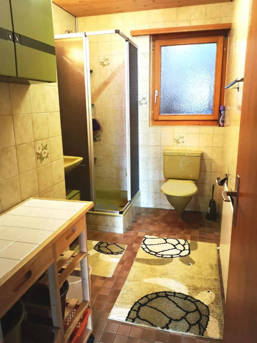 Beatenberg zu verkaufen Möbliertes Wohnobjekt Schweiz - cChic-immoHub Ihr Immobilienportal