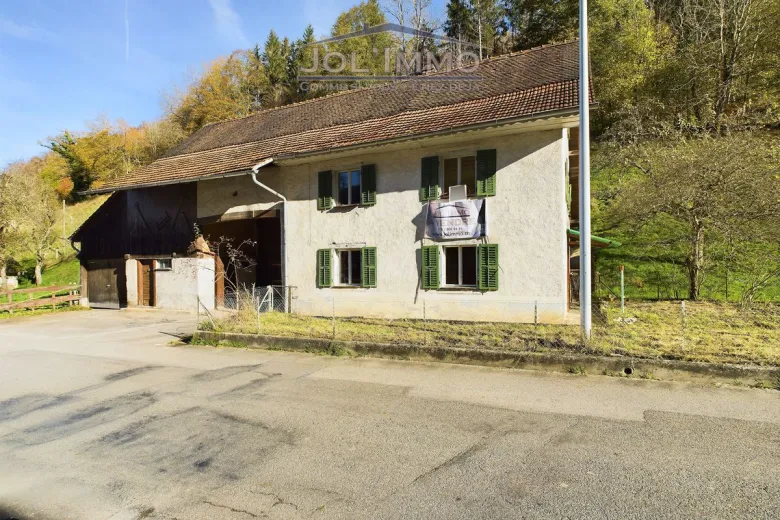 Zu verkaufen Asuel Einfamilienhaus Suisse - cChic-immoHub Ihr Immobilienportal