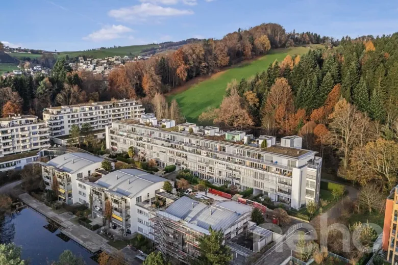 Zu verkaufen Luzern Attikawohnung Suisse - cChic-immoHub Ihr Immobilienportal