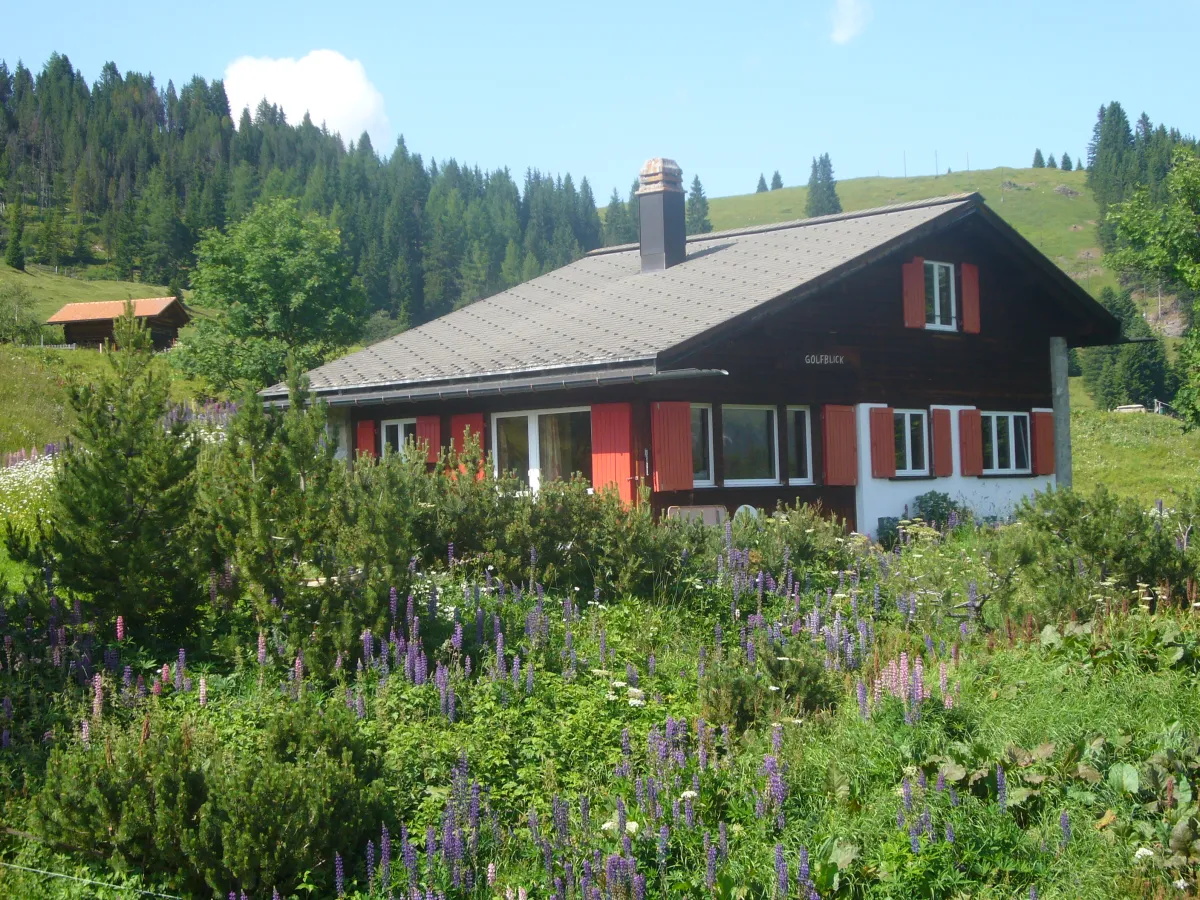 Arosa zu verkaufen Chalet Schweiz - cChic-immoHub Ihr Immobilienportal