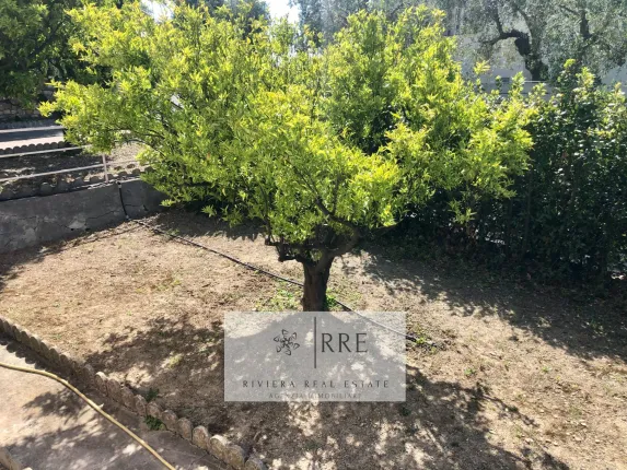 Multiple dwelling for sale in Diano Marina (13)