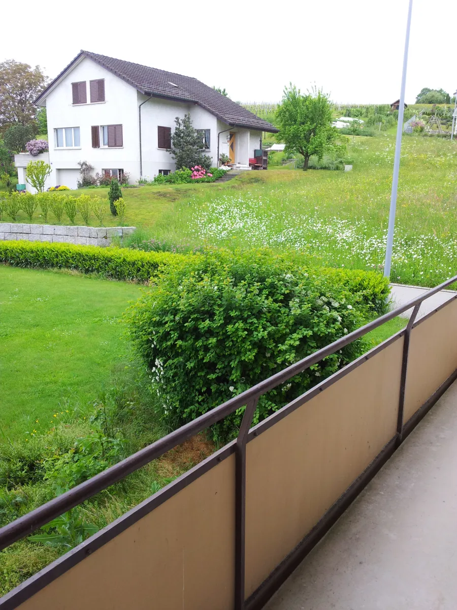 Wil ZH à louer Appartement Suisse - cChic-immoHub votre portail immobilier