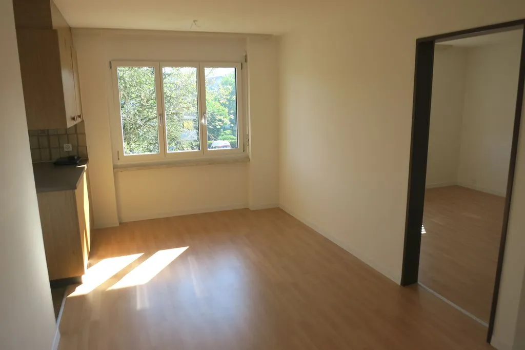 Frauenfeld à louer Appartement Suisse - cChic-immoHub votre portail immobilier