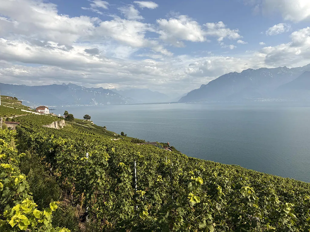 Chexbres à vendre Appartement Suisse - cChic-immoHub votre portail immobilier