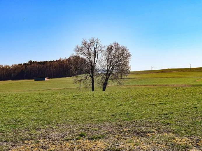 Zu verkaufen Mézières VD Villa Suisse - cChic-immoHub Ihr Immobilienportal