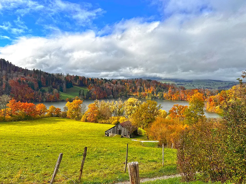 Bulle zu verkaufen Villa Schweiz - cChic-immoHub Ihr Immobilienportal