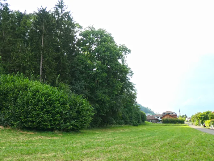 Wohnung zu verkaufen in Eiken (2)