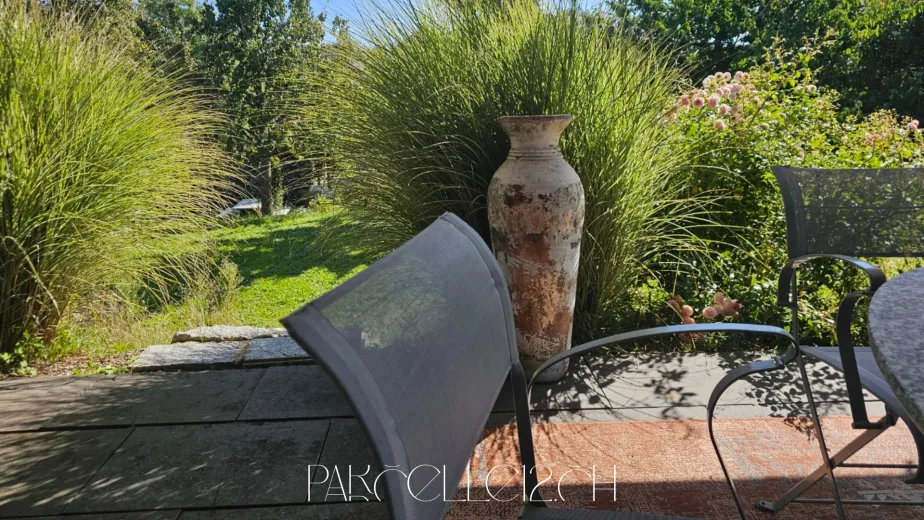 Zu verkaufen Greng Einfamilienhaus Schweiz - cChic-immoHub Ihr Immobilienportal