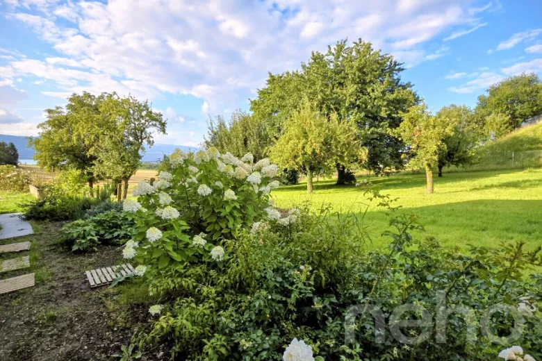 Zu verkaufen Cudrefin Einfamilienhaus Schweiz - cChic-immoHub Ihr Immobilienportal