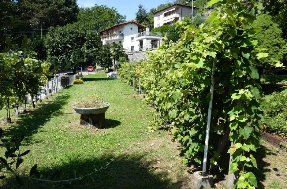 Sonvico à vendre Terrain à bâtir Suisse - cChic-immoHub votre portail immobilier