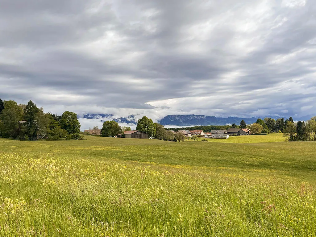 Epalinges for sale Multiple dwelling Switzerland - cChic-immoHub your real estate portal