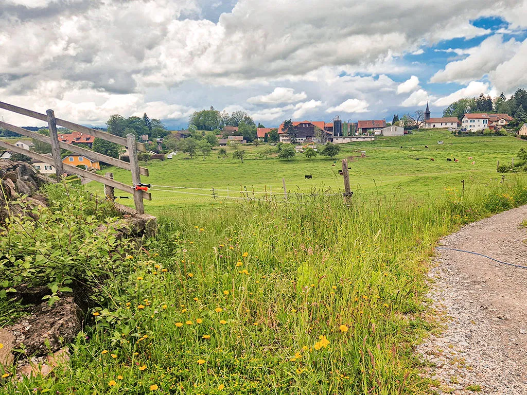 Servion zu verkaufen Wohnung Schweiz - cChic-immoHub Ihr Immobilienportal
