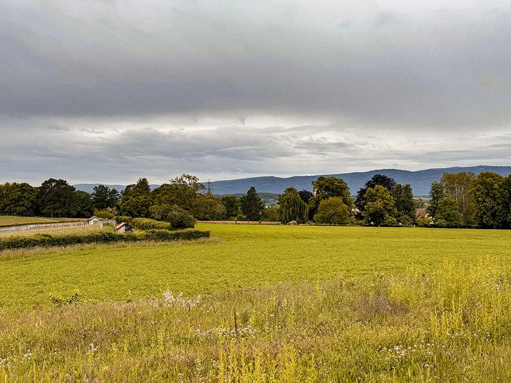 Morges for sale Single house Switzerland - cChic-immoHub your real estate portal