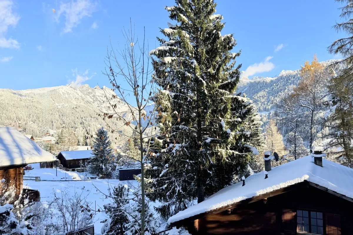 Gryon for sale Chalet Switzerland - cChic-immoHub your real estate portal
