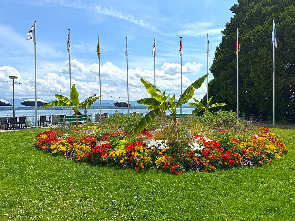 Nyon for sale Attic flat Switzerland - cChic-immoHub your real estate portal