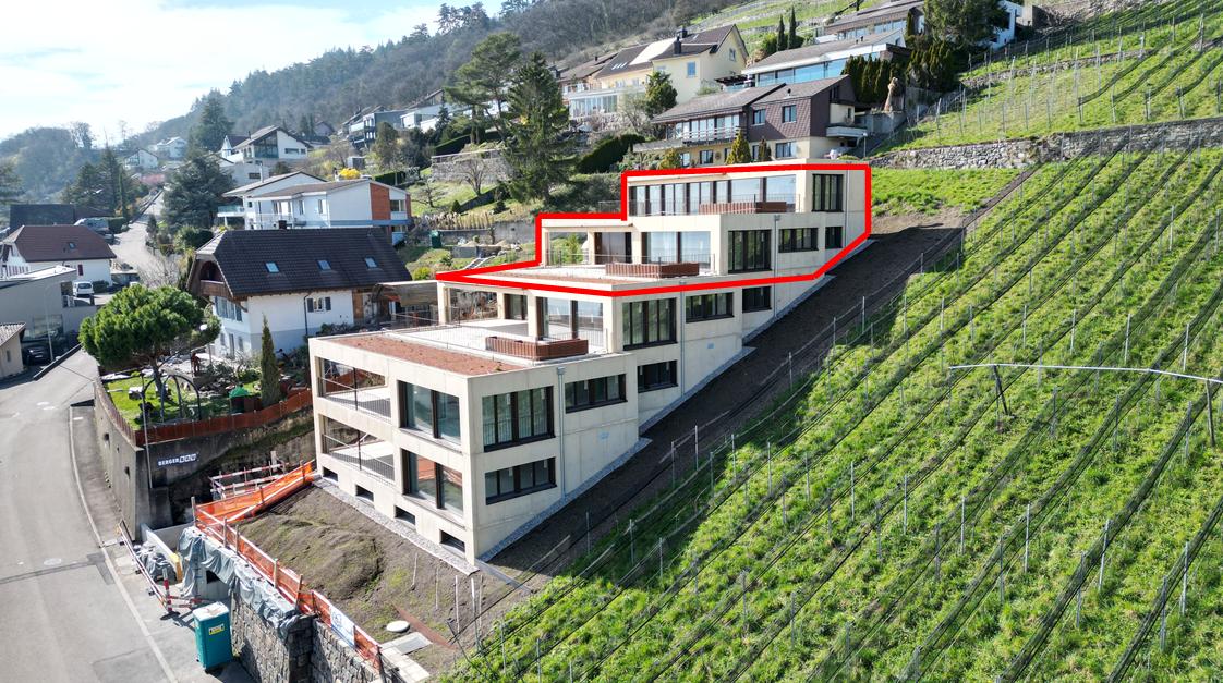 In vendita   Svizzera - collaborazione con il portale immobiliare Smart-Propylaia
