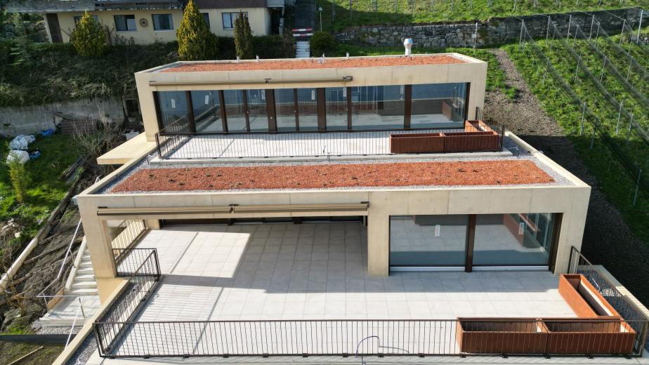 Haus zu verkaufen in Tüscherz-Alfermée - 5.5-Zimmer Luxus-Duplex-Terrassenhaus mit Seesicht und Alpenblick - Smart Propylaia (9)