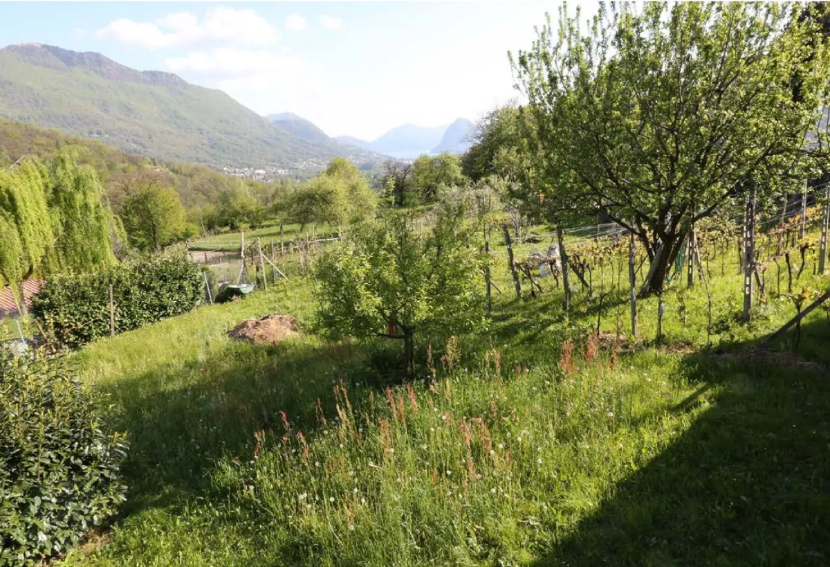 Lopagno for sale Building plot Switzerland - cChic-immoHub your real estate portal