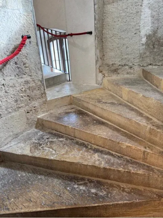 Orbe zu verkaufen Mehrfamilienhaus Schweiz - cChic-immoHub Ihr Immobilienportal