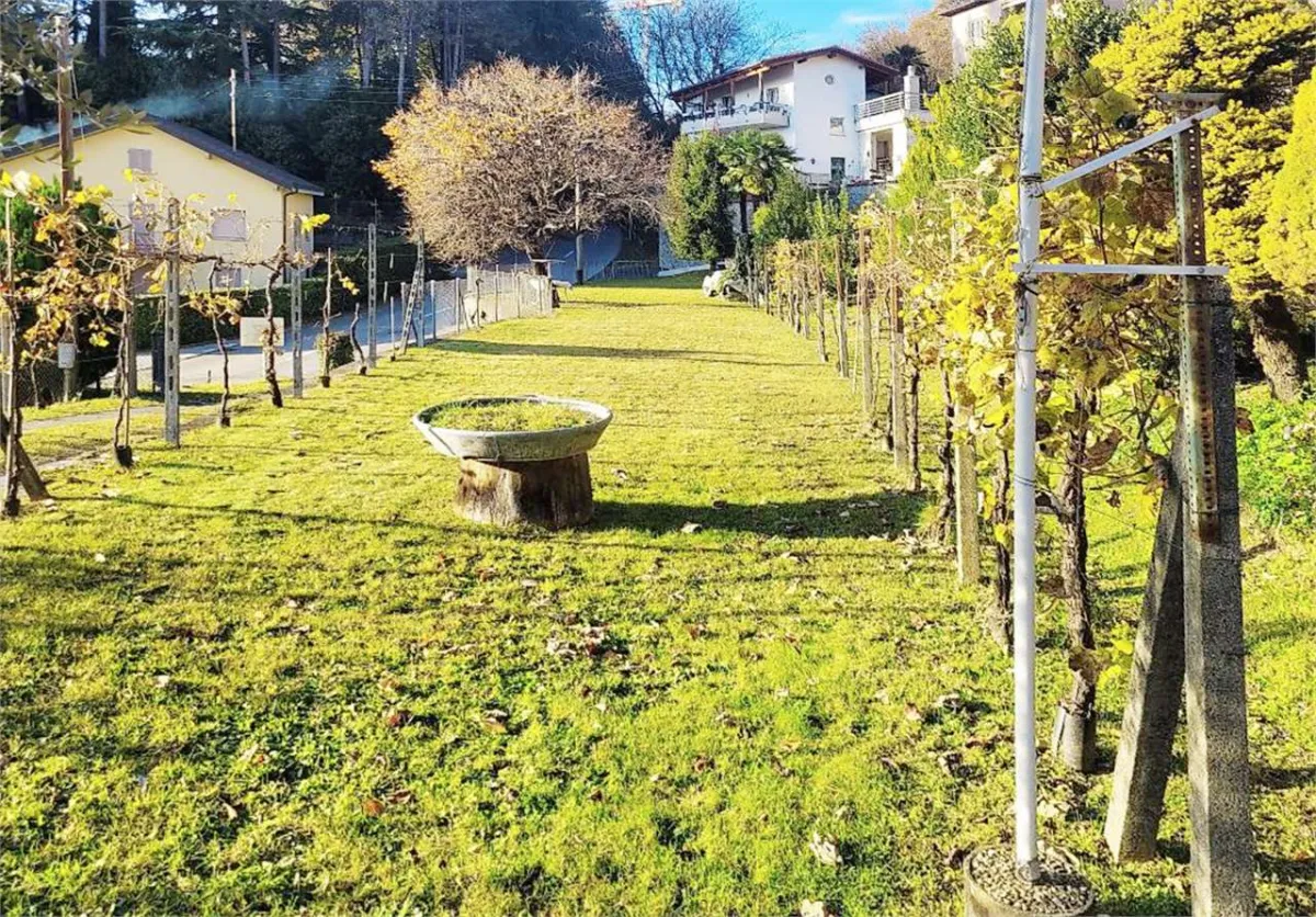 Sonvico zu verkaufen Grundstück Schweiz - cChic-immoHub Ihr Immobilienportal