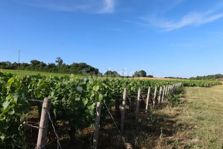 Grundstück zu verkaufen in Mellecey - Bauland zu verkaufen in Mellecey, 1038 m2 - Smart Propylaia (3)