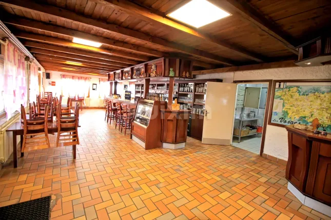 Handel/Industrie zu verkaufen in Lepuix (9)