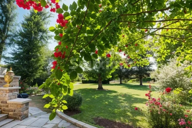 Maison à vendre à Beaune - Smart Propylaia (14)