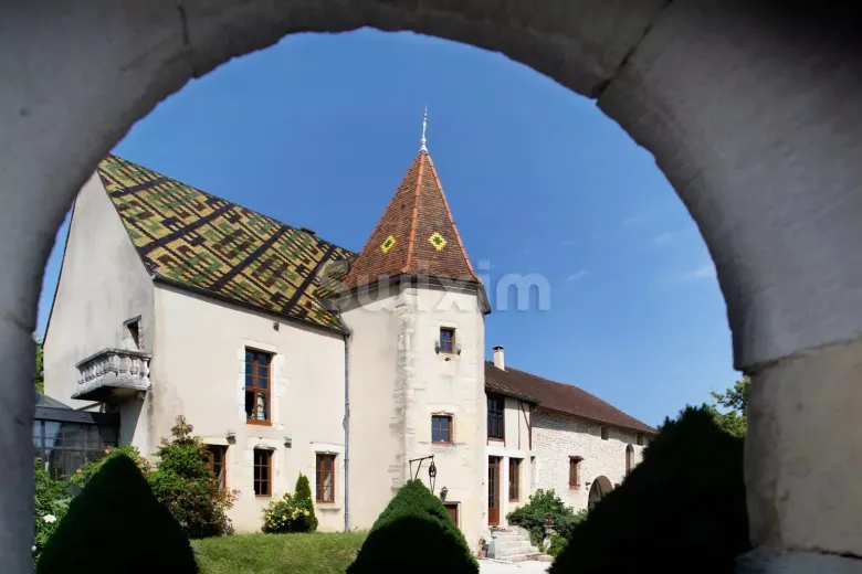 Maison à vendre à Dijon - Propriété du  XVe  restaurée. - Smart Propylaia (3)