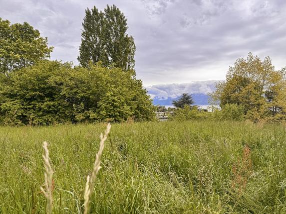 Haus zu verkaufen in Morges (2)