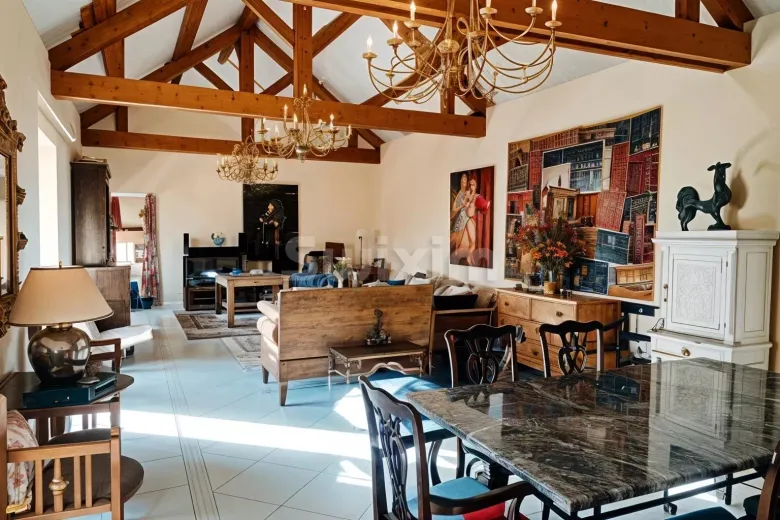 Maison à vendre à Santenay - Smart Propylaia (8)