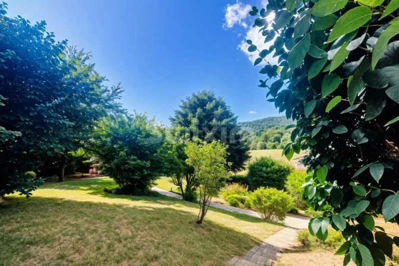 Maison à vendre à Santenay - Smart Propylaia (11)